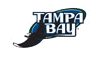 home near florida baseball
